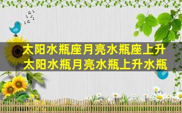 太阳水瓶座月亮水瓶座上升 太阳水瓶月亮水瓶上升水瓶